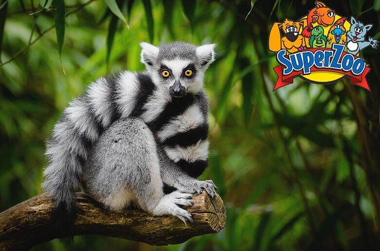 SuperZoo in Las Vegas NV